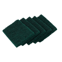 Shagun Cleaning Scrub Pads - 10 Piece Set for Kitchen, Pots, Pans & Household Cleaning