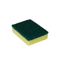 Shagun Cleaning Product Shagun-Brite 2-in-1 Scrub Sponge – Multi-Purpose Kitchen Cleaning Sponge Pack